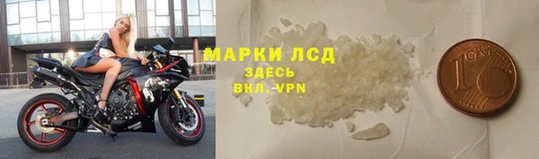 прущие грибы Приозерск