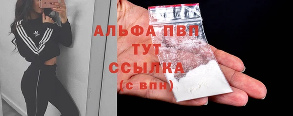 прущие грибы Приозерск