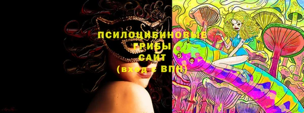 крисы Абинск