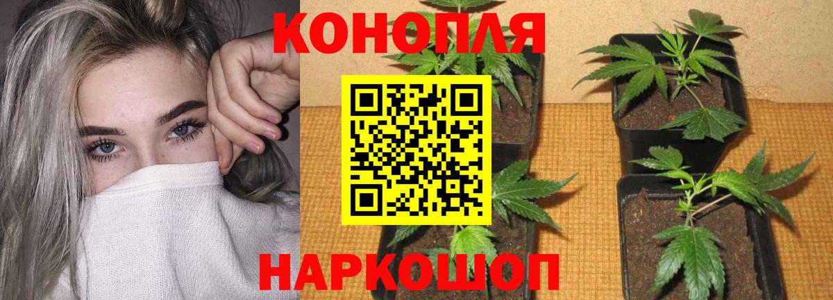 МАРИХУАНА Ganja  Вход с VPN  Бошки Шишки Bruce Banner  Каннабис тримм  Анапа 